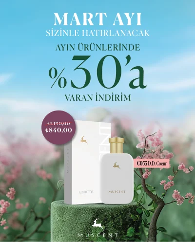 c053_Çalışma Yüzeyi 1